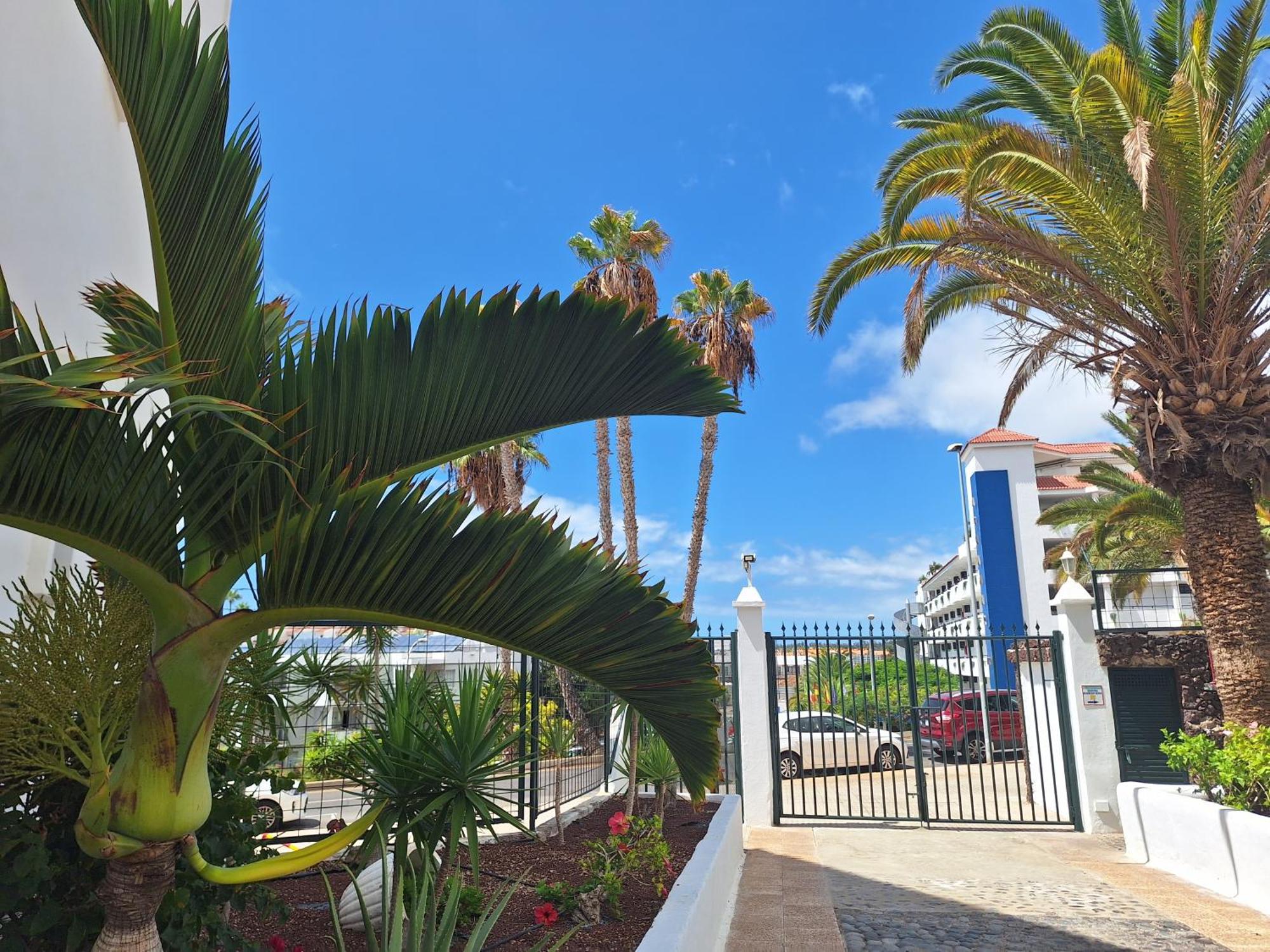 Parque Margarita, Terraza Vista Piscina Apartment Los Cristianos  Exterior photo